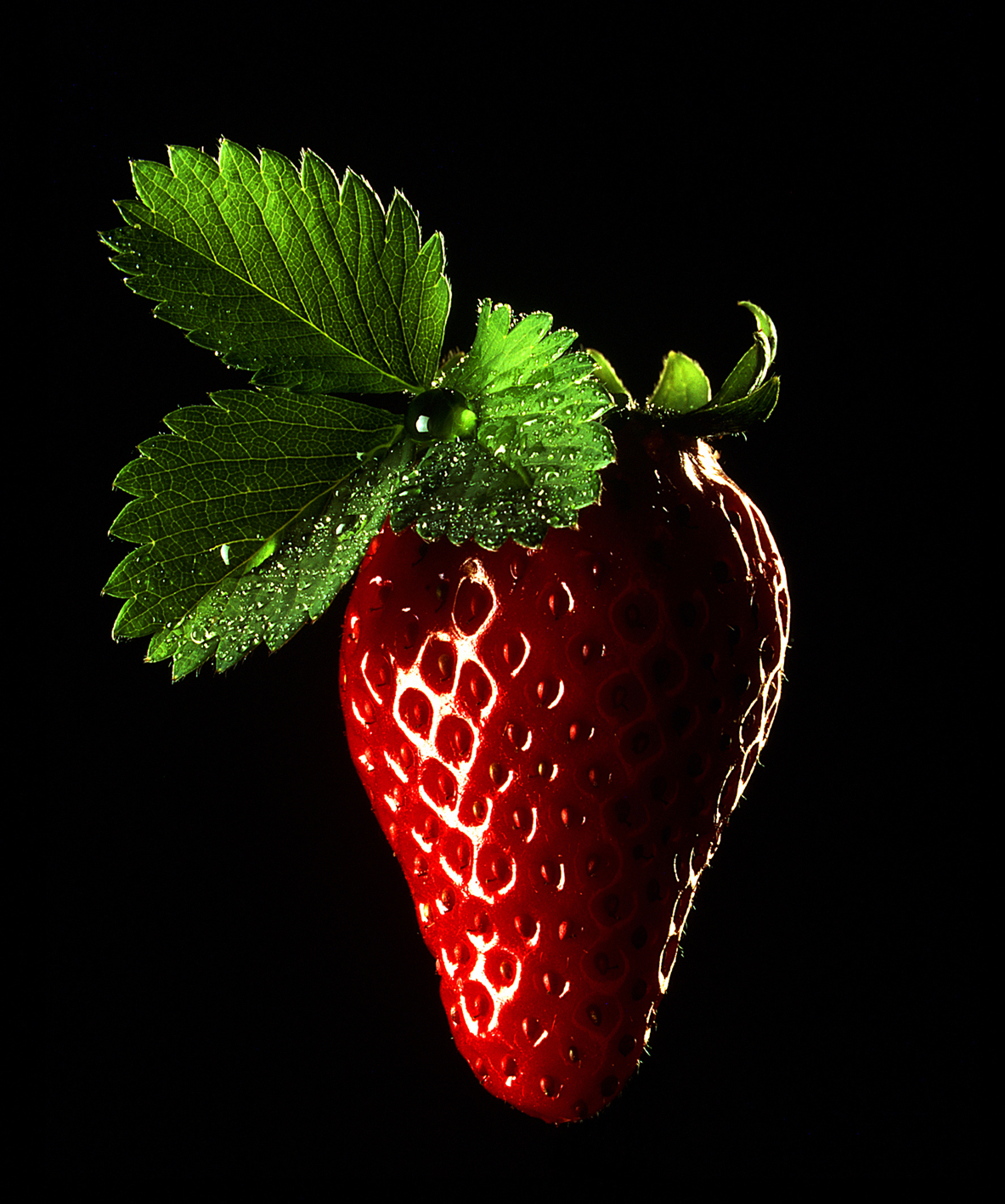 Photo culinaire 5